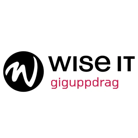 Integration Specialist – Payroll system